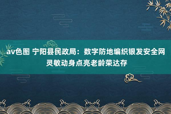 av色图 宁阳县民政局：数字防地编织银发安全网 灵敏动身点亮老龄荣达存