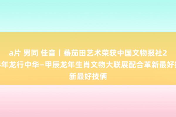 a片 男同 佳音丨蕃茄田艺术荣获中国文物报社2024年龙行中华—甲辰龙年生肖文物大联展配合革新最好技俩