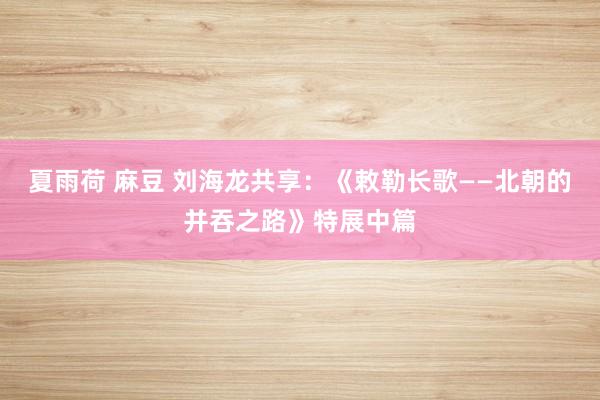 夏雨荷 麻豆 刘海龙共享：《敕勒长歌——北朝的并吞之路》特展中篇