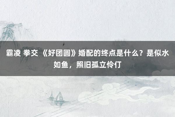 霸凌 拳交 《好团圆》婚配的终点是什么？是似水如鱼，照旧孤立伶仃