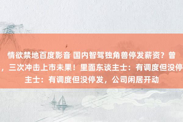 情欲禁地百度影音 国内智驾独角兽停发薪资？曾获小米、高通投资，三次冲击上市未果！里面东谈主士：有调度但没停发，公司闲居开动