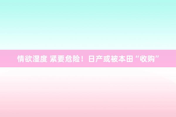 情欲湿度 紧要危险！日产或被本田“收购”