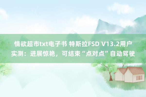 情欲超市txt电子书 特斯拉FSD V13.2用户实测：进展惊艳，可结束“点对点”自动驾驶