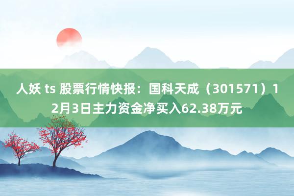 人妖 ts 股票行情快报：国科天成（301571）12月3日主力资金净买入62.38万元