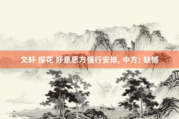 文轩 探花 好意思方强行安排， 中方: 缺憾