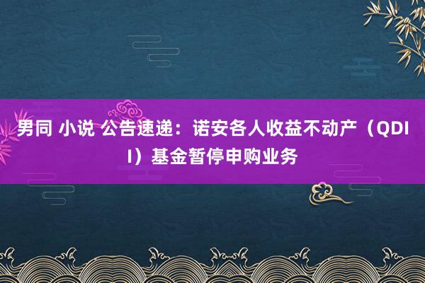 男同 小说 公告速递：诺安各人收益不动产（QDII）基金暂停申购业务