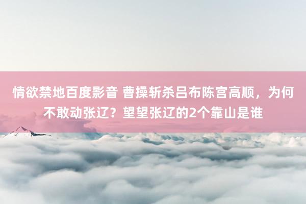 情欲禁地百度影音 曹操斩杀吕布陈宫高顺，为何不敢动张辽？望望张辽的2个靠山是谁