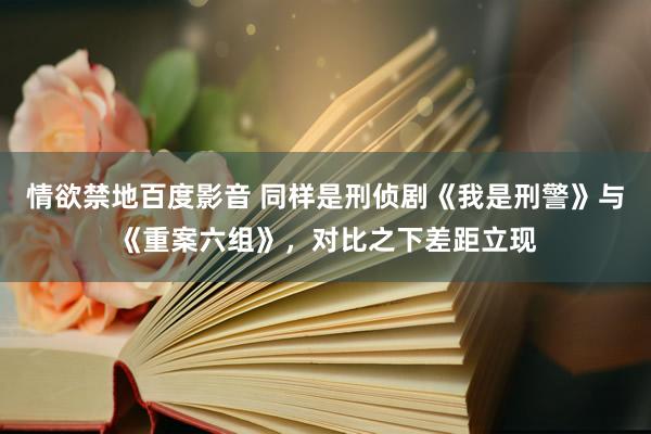 情欲禁地百度影音 同样是刑侦剧《我是刑警》与《重案六组》，对比之下差距立现