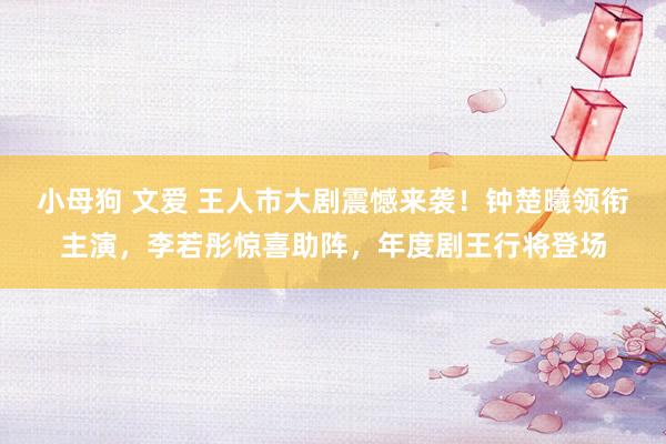 小母狗 文爱 王人市大剧震憾来袭！钟楚曦领衔主演，李若彤惊喜助阵，年度剧王行将登场