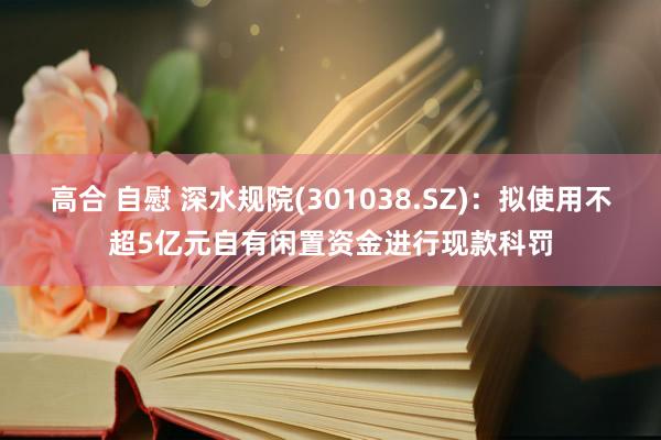 高合 自慰 深水规院(301038.SZ)：拟使用不超5亿元自有闲置资金进行现款科罚