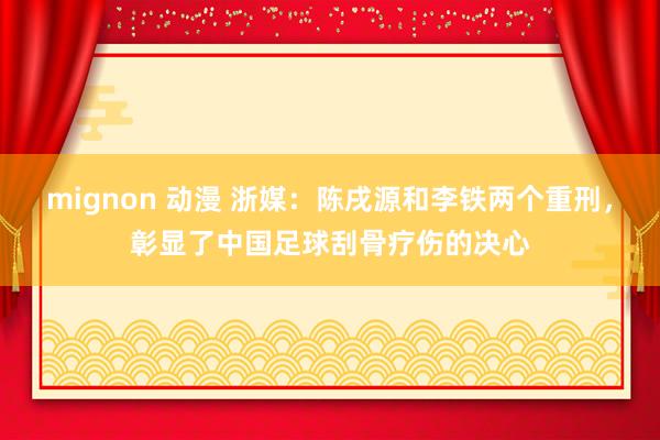 mignon 动漫 浙媒：陈戌源和李铁两个重刑，彰显了中国足球刮骨疗伤的决心