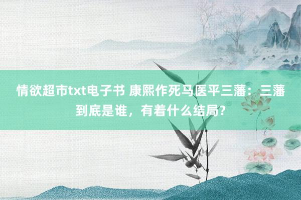 情欲超市txt电子书 康熙作死马医平三藩：三藩到底是谁，有着什么结局？