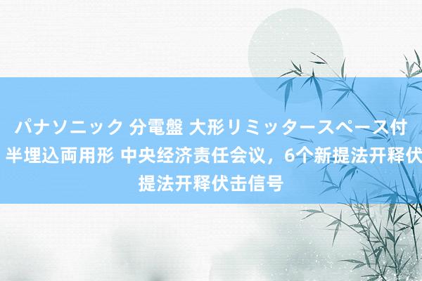 パナソニック 分電盤 大形リミッタースペース付 露出・半埋込両用形 中央经济责任会议，6个新提法开释伏击信号