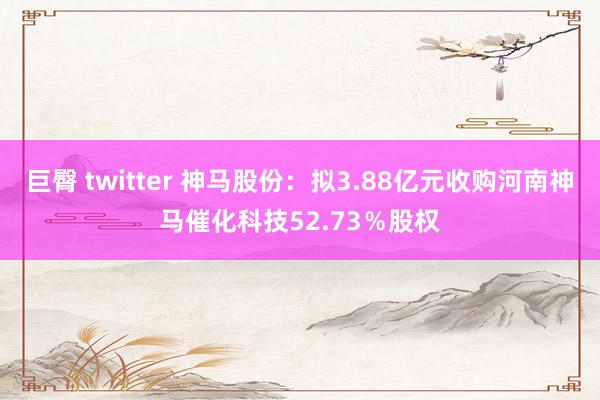 巨臀 twitter 神马股份：拟3.88亿元收购河南神马催化科技52.73％股权