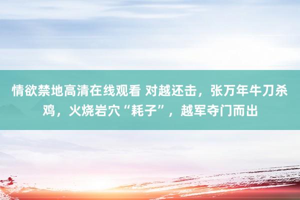 情欲禁地高清在线观看 对越还击，张万年牛刀杀鸡，火烧岩穴“耗子”，越军夺门而出