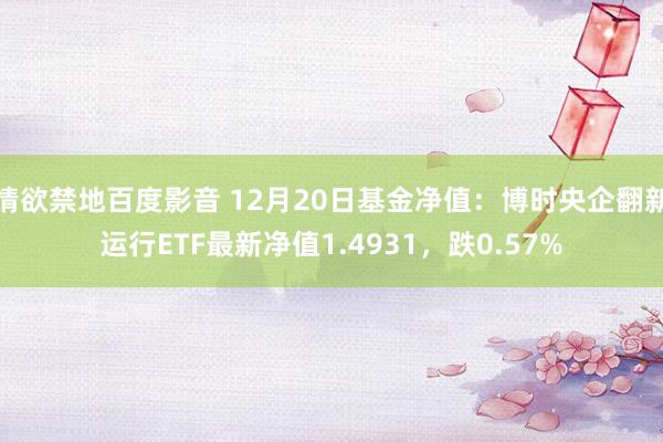 情欲禁地百度影音 12月20日基金净值：博时央企翻新运行ETF最新净值1.4931，跌0.57%