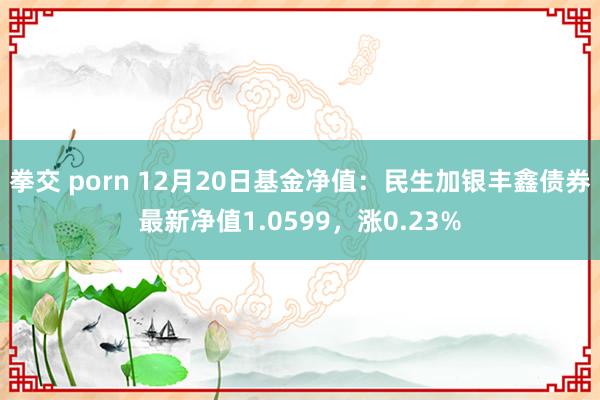 拳交 porn 12月20日基金净值：民生加银丰鑫债券最新净值1.0599，涨0.23%