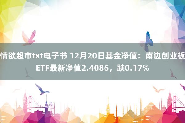 情欲超市txt电子书 12月20日基金净值：南边创业板ETF最新净值2.4086，跌0.17%