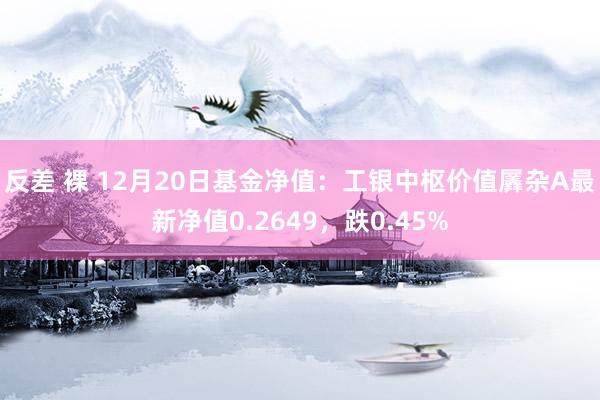 反差 裸 12月20日基金净值：工银中枢价值羼杂A最新净值0.2649，跌0.45%