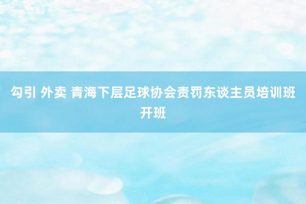 勾引 外卖 青海下层足球协会责罚东谈主员培训班开班