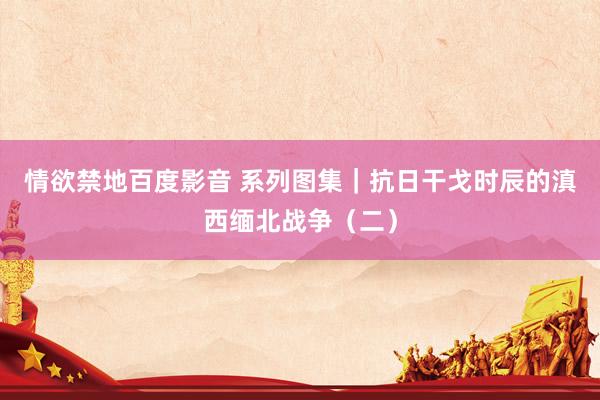 情欲禁地百度影音 系列图集｜抗日干戈时辰的滇西缅北战争（二）