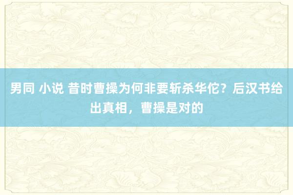 男同 小说 昔时曹操为何非要斩杀华佗？后汉书给出真相，曹操是对的
