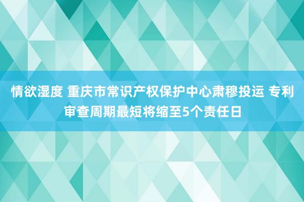 情欲湿度 重庆市常识产权保护中心肃穆投运 专利审查周期最短将缩至5个责任日