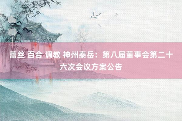 蕾丝 百合 调教 神州泰岳：第八届董事会第二十六次会议方案公告