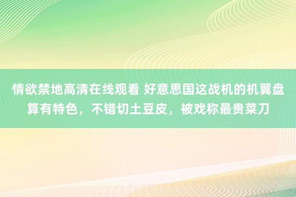 情欲禁地高清在线观看 好意思国这战机的机翼盘算有特色，不错切土豆皮，被戏称最贵菜刀