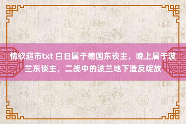 情欲超市txt 白日属于德国东谈主，晚上属于波兰东谈主，二战中的波兰地下造反绽放