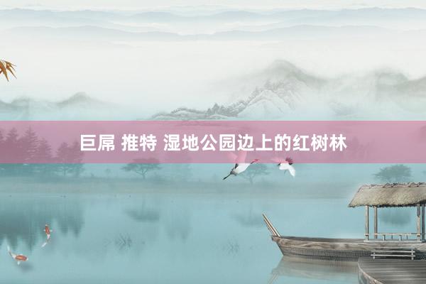 巨屌 推特 湿地公园边上的红树林