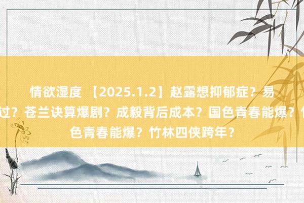 情欲湿度 【2025.1.2】赵露想抑郁症？易烊千玺没恋爱过？苍兰诀算爆剧？成毅背后成本？国色青春能爆？竹林四侠跨年？