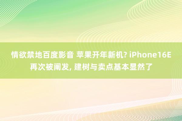 情欲禁地百度影音 苹果开年新机? iPhone16E再次被阐发， 建树与卖点基本显然了