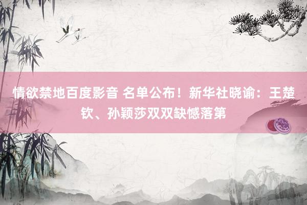 情欲禁地百度影音 名单公布！新华社晓谕：王楚钦、孙颖莎双双缺憾落第