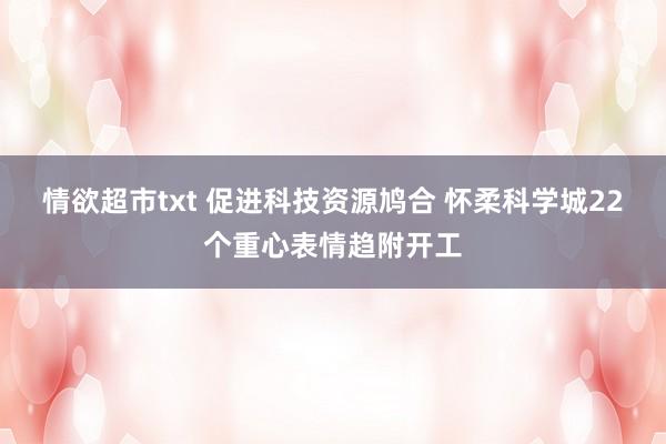 情欲超市txt 促进科技资源鸠合 怀柔科学城22个重心表情趋附开工