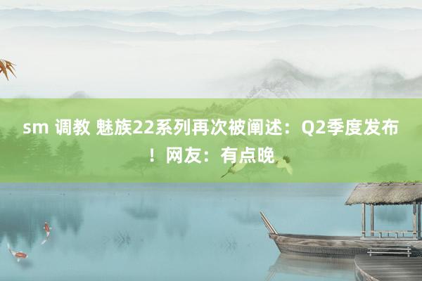 sm 调教 魅族22系列再次被阐述：Q2季度发布！网友：有点晚