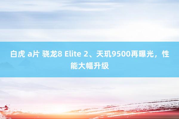 白虎 a片 骁龙8 Elite 2、天玑9500再曝光，性能大幅升级