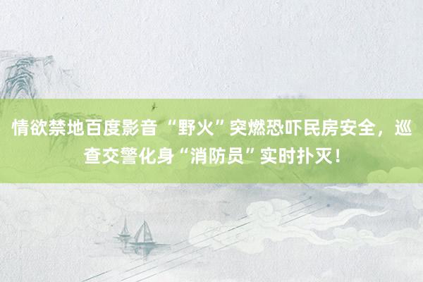 情欲禁地百度影音 “野火”突燃恐吓民房安全，巡查交警化身“消防员”实时扑灭！