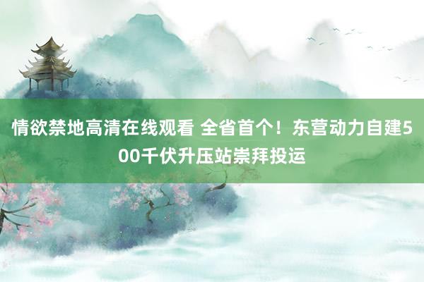 情欲禁地高清在线观看 全省首个!东营动力自建500千伏升压站崇拜投运