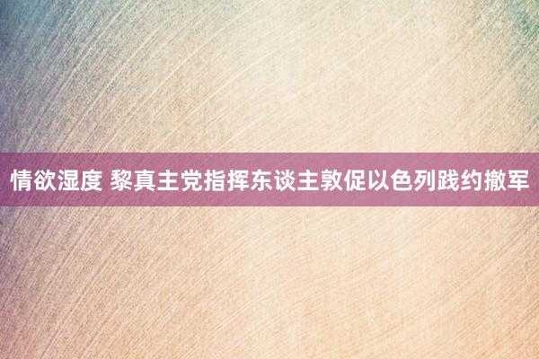 情欲湿度 黎真主党指挥东谈主敦促以色列践约撤军