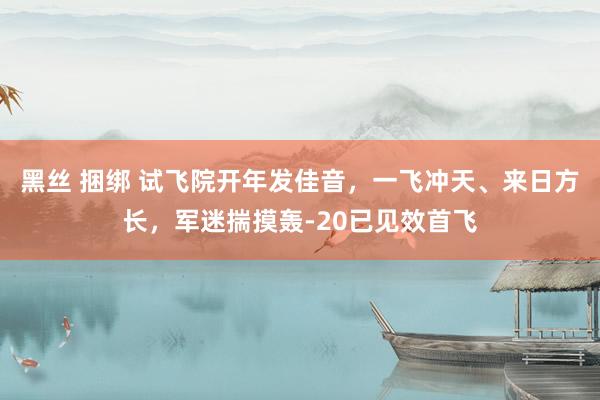 黑丝 捆绑 试飞院开年发佳音，一飞冲天、来日方长，军迷揣摸轰-20已见效首飞