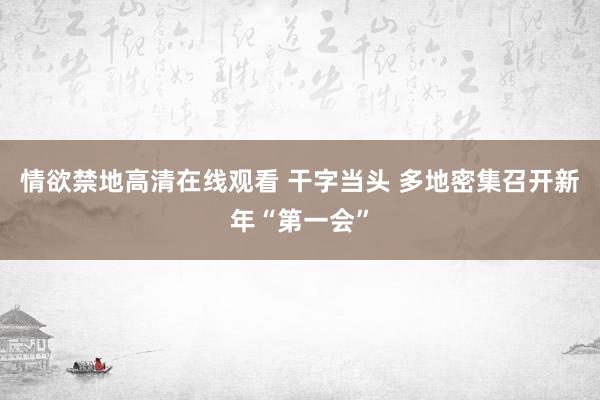 情欲禁地高清在线观看 干字当头 多地密集召开新年“第一会”