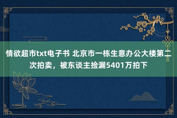 情欲超市txt电子书 北京市一栋生意办公大楼第二次拍卖，被东谈主捡漏5401万拍下