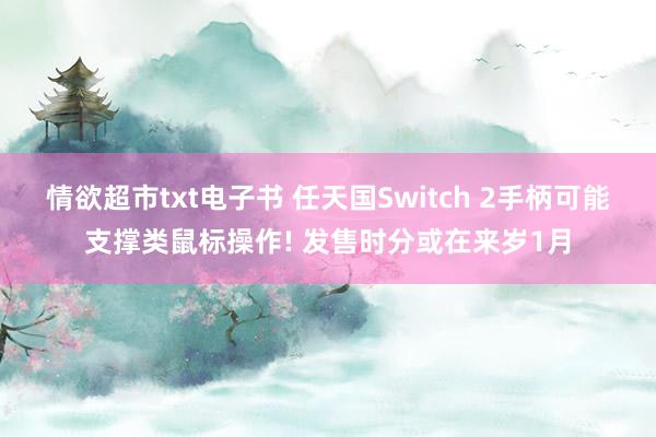 情欲超市txt电子书 任天国Switch 2手柄可能支撑类鼠标操作! 发售时分或在来岁1月