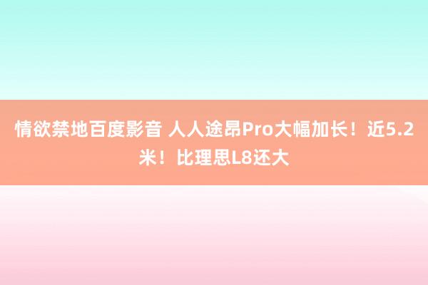 情欲禁地百度影音 人人途昂Pro大幅加长！近5.2米！比理思L8还大