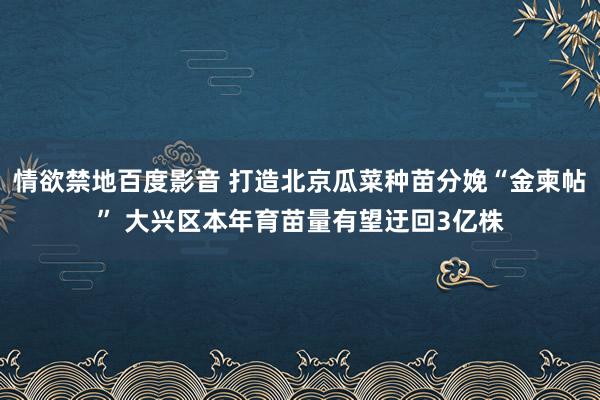 情欲禁地百度影音 打造北京瓜菜种苗分娩“金柬帖” 大兴区本年育苗量有望迂回3亿株