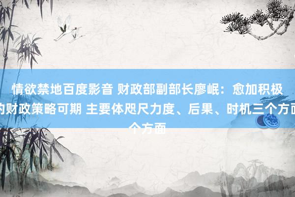 情欲禁地百度影音 财政部副部长廖岷：愈加积极的财政策略可期 主要体咫尺力度、后果、时机三个方面