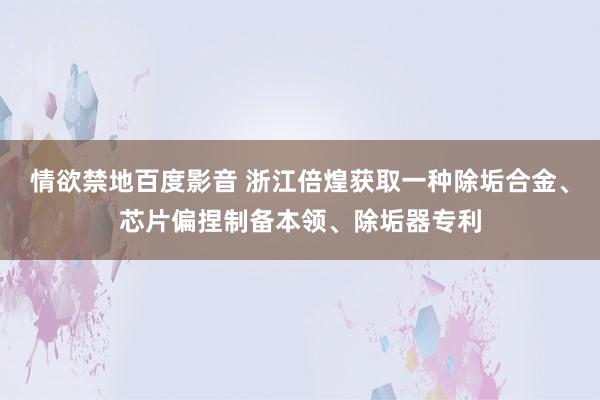 情欲禁地百度影音 浙江倍煌获取一种除垢合金、芯片偏捏制备本领、除垢器专利