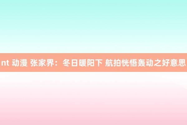 nt 动漫 张家界:冬日暖阳下 航拍恍悟轰动之好意思