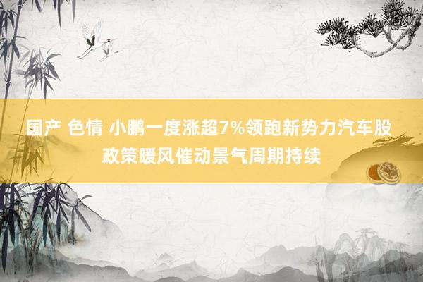 国产 色情 小鹏一度涨超7%领跑新势力汽车股 政策暖风催动景气周期持续